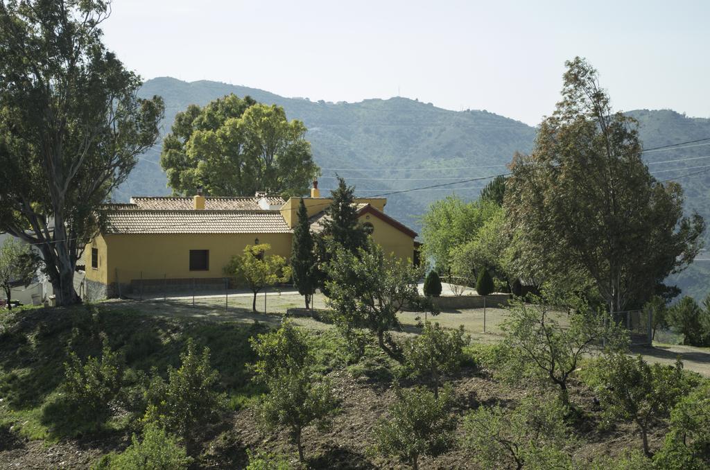 Rural Montes Malaga: Lagar Don Sancho Villa Bilik gambar