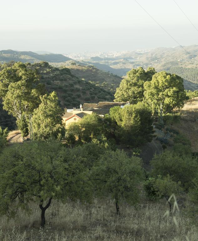 Rural Montes Malaga: Lagar Don Sancho Villa Bilik gambar